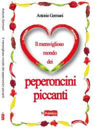 copertina il meraviglioso mondo prima pagina