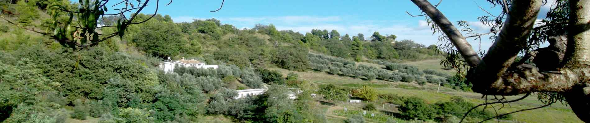 panoramica azienda 2014