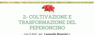 Seminario online sul peperoncino piccante