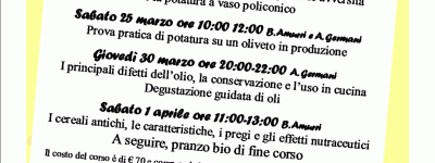 Corso olivo, olio d'oliva e grani antichi